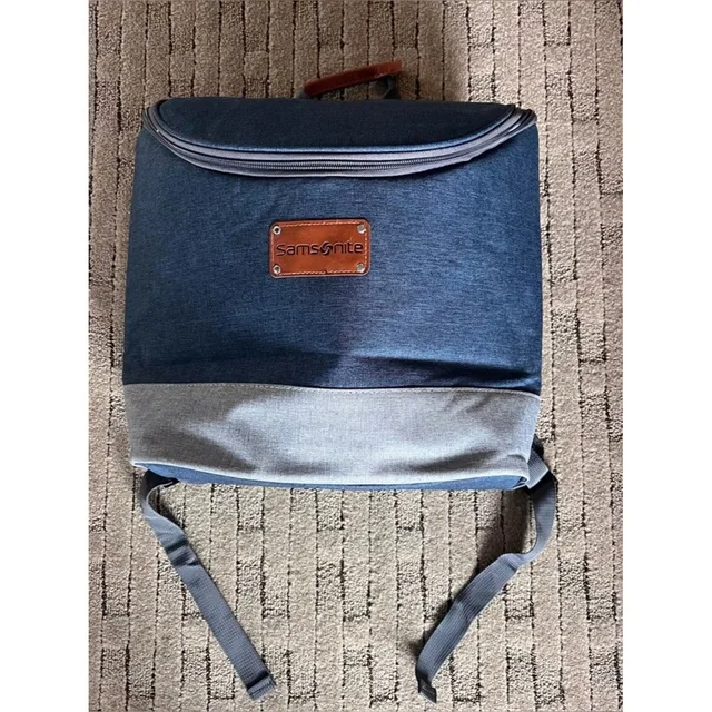Samsonite Men's Two-Tone Blue Backpack Cooler in gray|blue from Poshmark
