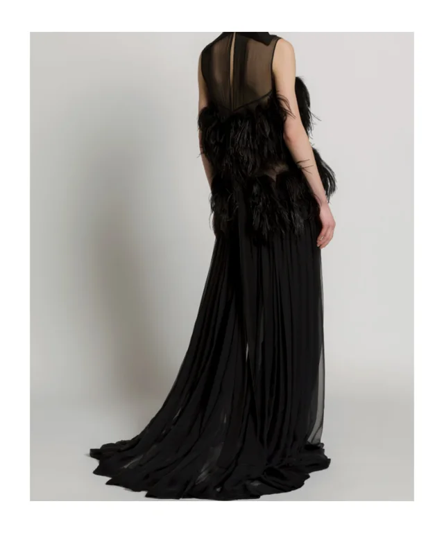 Alberta Ferretti Ethereal Silk Chiffon Feather Gown, photo 5 of 6 from SENSER