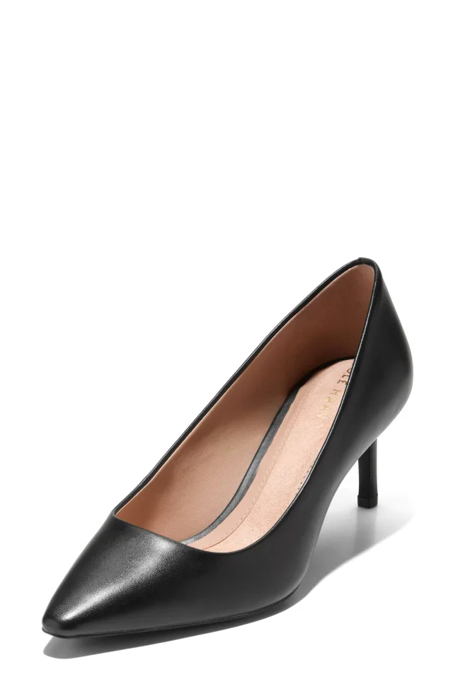 Cole Haan The Go-To Janey Pointed Toe Pump, photo 8 of 10 from Nordstrom Rack