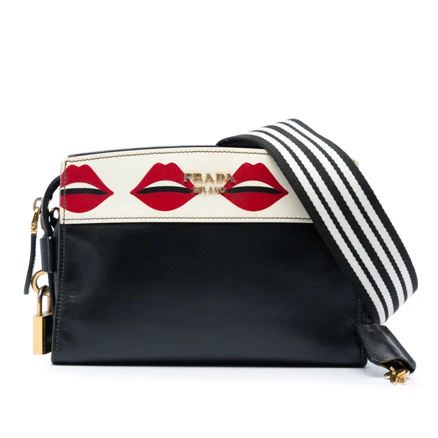 Black Prada City Calf and Saffiano Lip Print Esplanade Crossbody in Black Saffiano leather from Designer Revival