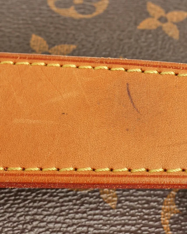 Louis Vuitton Monogram Delightful PM Bag in Coated canvas from A Retro Tale, photo 6 of 10