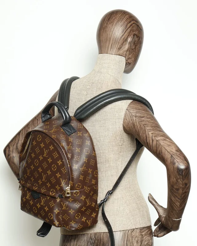 Louis Vuitton Monogram Palm Springs MM Backpack in Canvas from A Retro Tale, photo 7 of 9