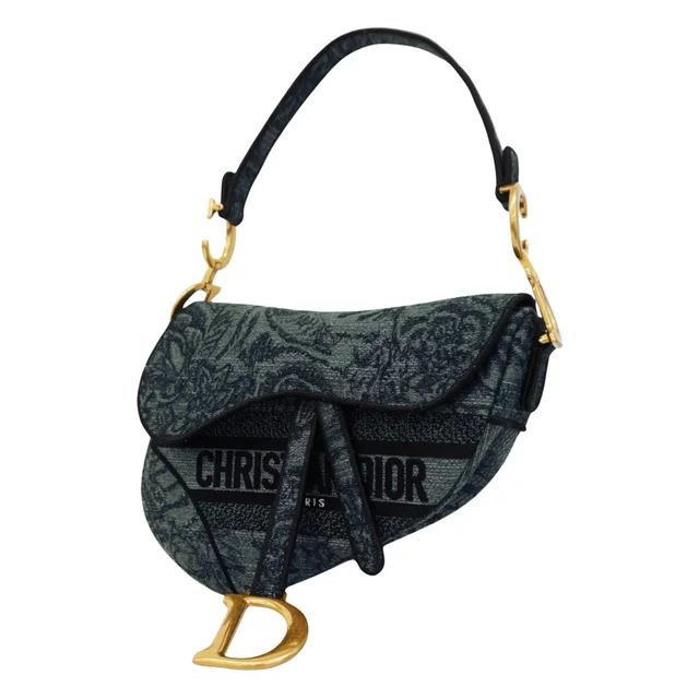 Dior Saddle in Canvas from The Brand Collector, photo 1 of 1
