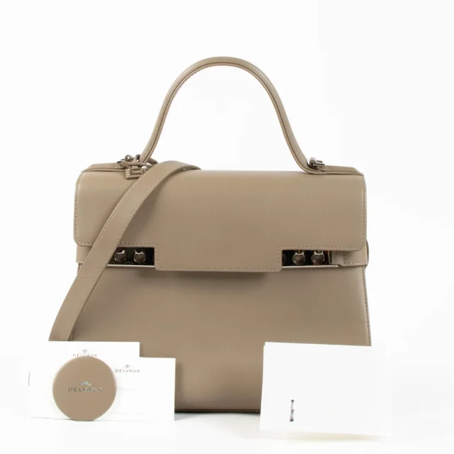 Delvaux Gris Tourterelle Calf Souple Tempête MM in Grey Calfskin from Labellov, photo 2 of 6