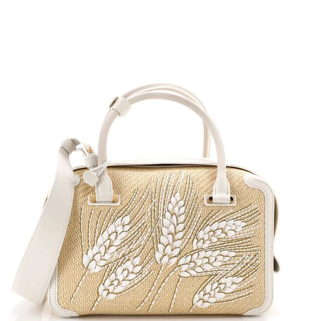 Delvaux Mm Cool Box Bag in Raffia from Poshmark
