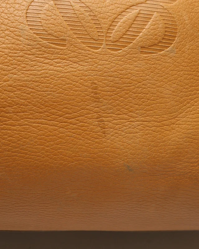 Loewe Amazona Boston Bag in Leather from A Retro Tale, photo 6 of 9
