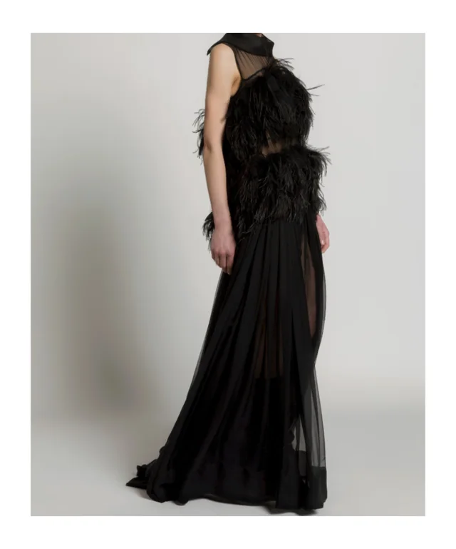 Alberta Ferretti Ethereal Silk Chiffon Feather Gown, photo 4 of 6 from SENSER