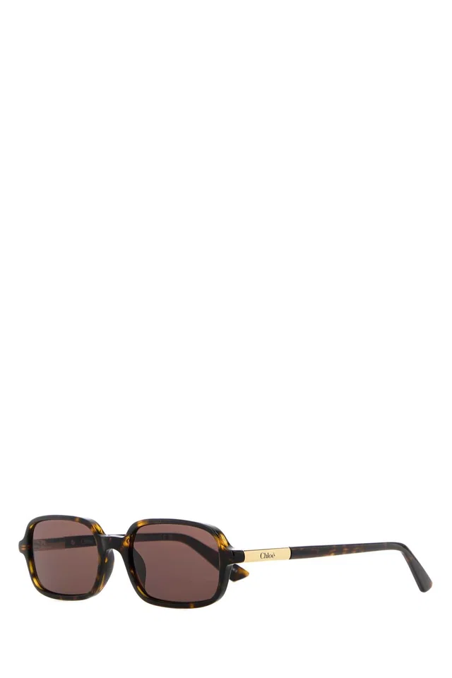 Chloé Ch0363s002 Tortoiseshell Acetate Sunglasses — Brown Exterior in Brown from HEWI