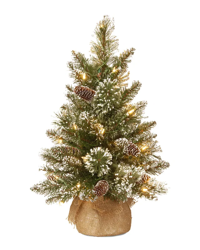 National Tree Company 2ft Glittery Bristle Pine Burlap Tree, image 1 of 1 from Rue La La