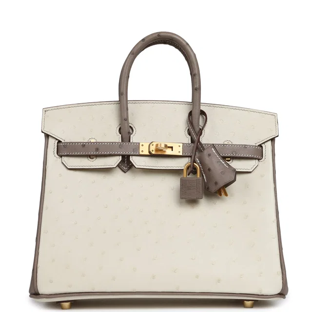 Hermès Special Order (HSS) Birkin 25 Beton, Gris Tourterelle Ostrich Brushed Gold Hardware in Grey Ostrich from Madison Avenue Couture