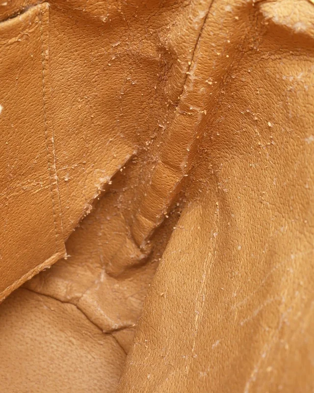 Bottega Veneta Golden Intrecciato Bag in Woven leather from A Retro Tale, photo 8 of 10
