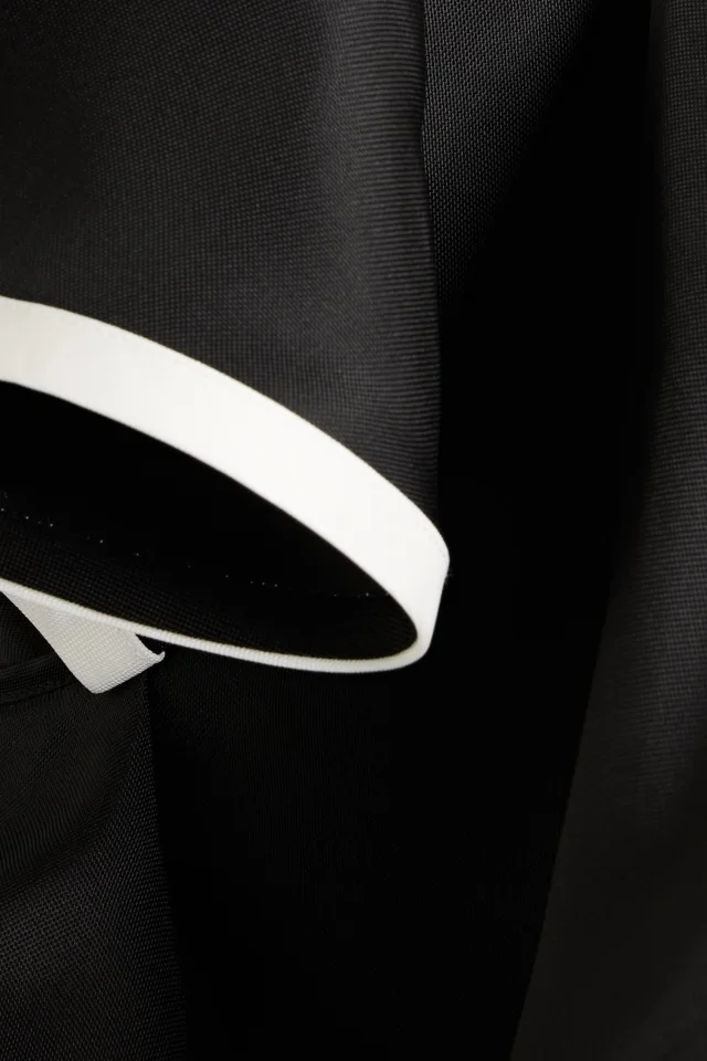 Carolina Herrera Ruffled Silk-Organza Top in Black, photo 4 of 4 from THE OUTNET