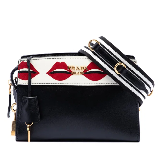 Black Prada City Calf and Saffiano Lip Print Esplanade Crossbody in Black Saffiano leather from Designer Revival