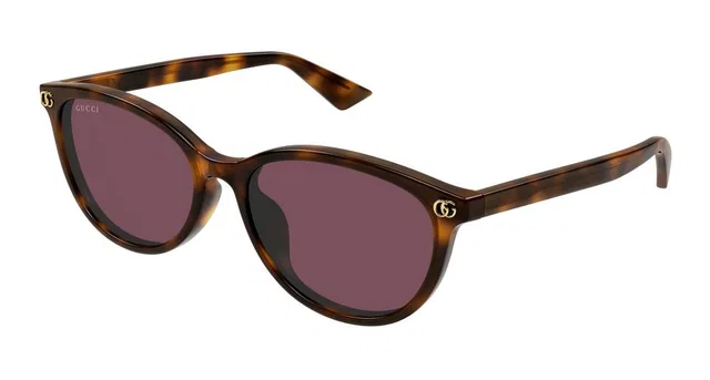 Gucci Gg1818sk Sunglasses — Havana Acetate from HEWI