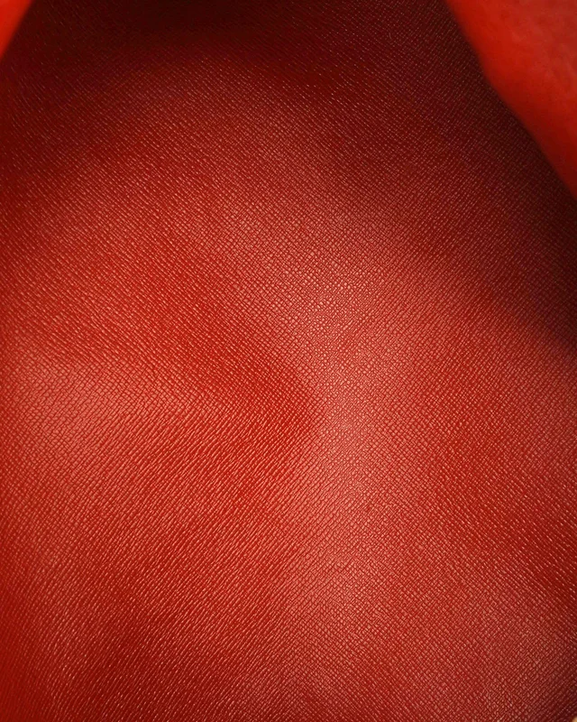Louis Vuitton Damier Ebene Papillon 30 Bag in Brown from A Retro Tale, photo 7 of 9