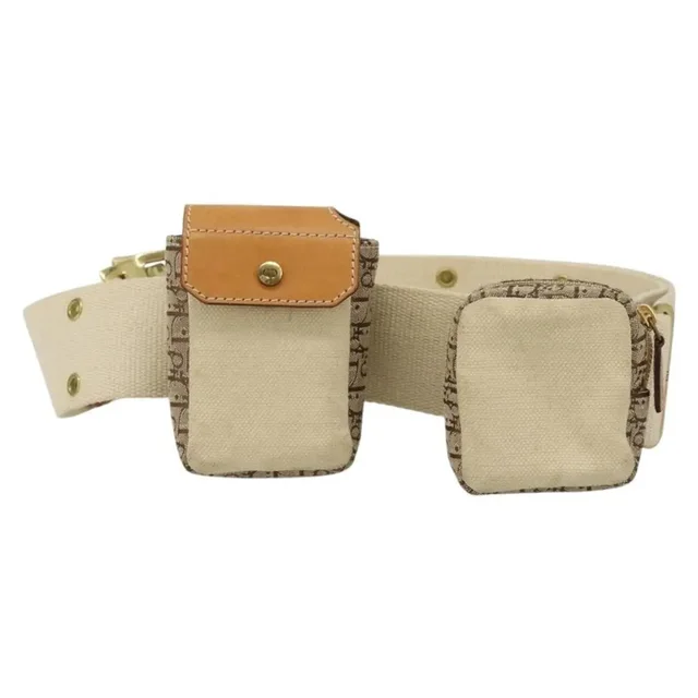 Dior Trotter Belt Bag Street Chic Beige in white|neutral Leather from Grailed