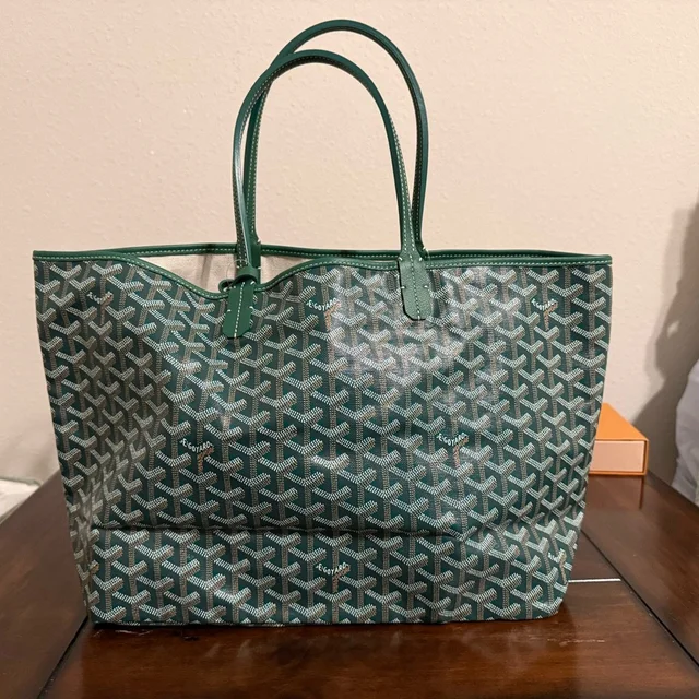 Goyard Patterned Pm Tote Bag in green from Poshmark, photo 1 of 1