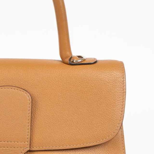 Delvaux Vegetal Sellier Brillant MM Bag from Labellov, photo 6 of 7