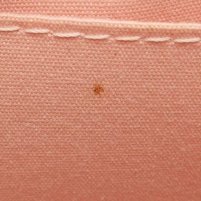 Louis Vuitton Vernis Biscayne Bay PM Bag in Leather from A Retro Tale, photo 7 of 9