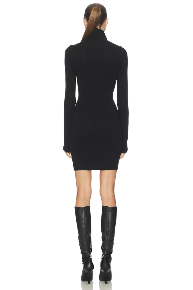 Lovers and Friends Steffi Turtleneck Mini Dress in Black, photo 3 of 4 from REVOLVE (Canada)