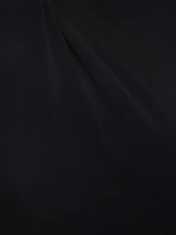 Leslie Amon Long dress with long sleeves in 80% Polyamide, 20% Elastane, photo 4 of 5 from LUISAVIAROMA