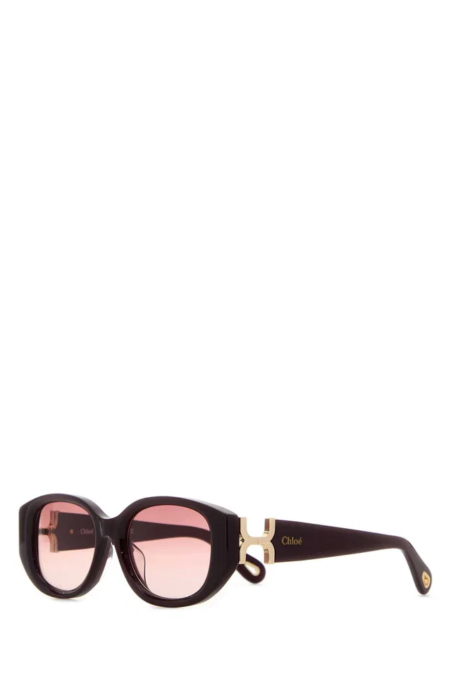 Chloé Rounded Acetate Sunglasses — Burgundy Exterior in Burgundy from HEWI