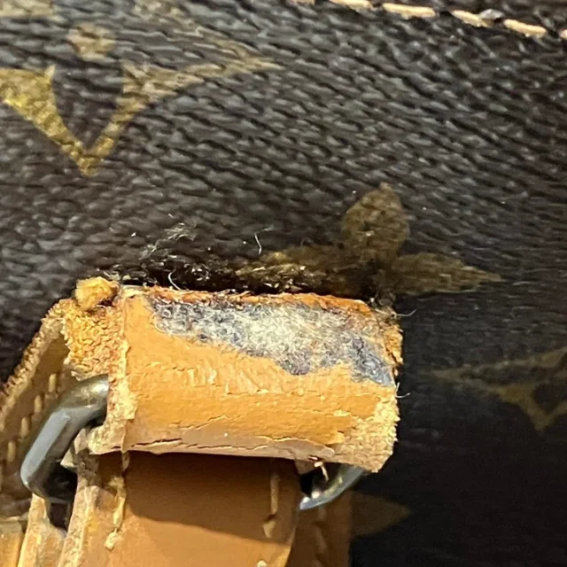 Louis Vuitton Bucket PM Monogram Shoulder Bag Limited in Brown Canvas from LuxUness, photo 6 of 8