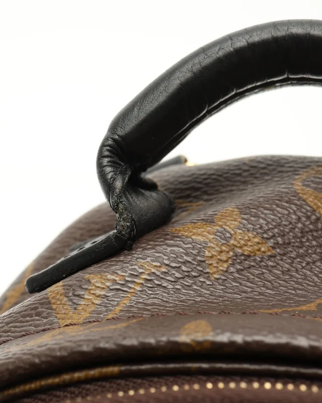 Louis Vuitton Monogram Mini Palm Springs Backpack from A Retro Tale, photo 7 of 9