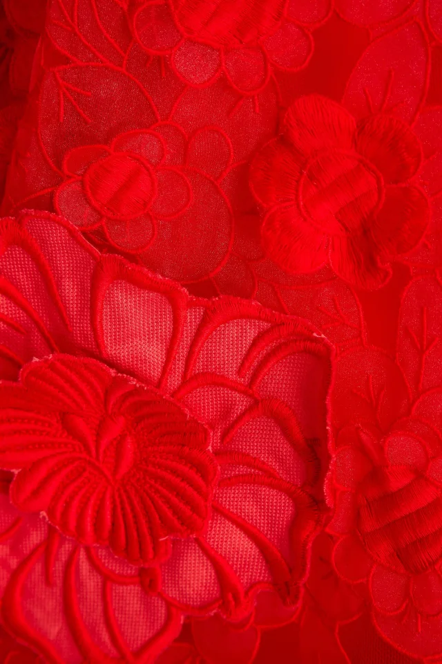 Valentino Garavani Floral-Appliquéd Embroidered Tulle Mini Dress in Red, photo 4 of 4 from THE OUTNET