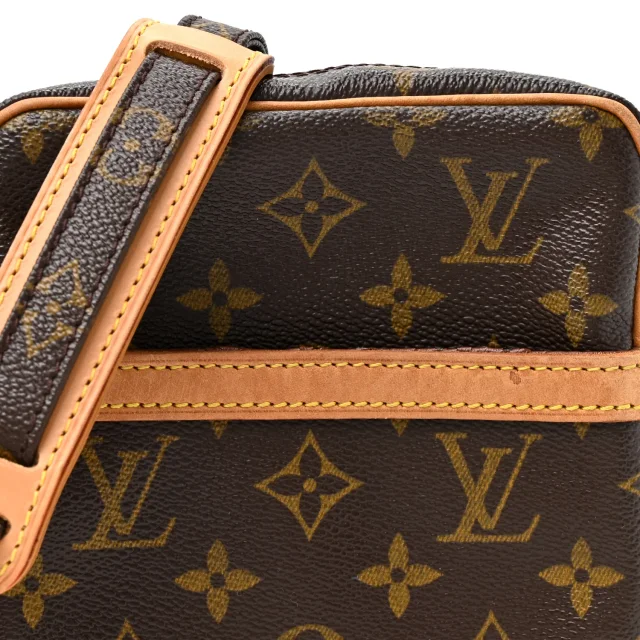 Louis Vuitton Monogram Danube 21 in Caviar leather from FASHIONPHILE, photo 7 of 13