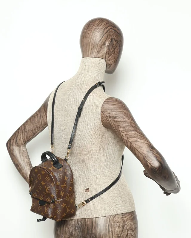 Louis Vuitton Mini Palm Springs Backpack in Coated canvas from A Retro Tale, photo 6 of 8